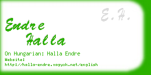 endre halla business card